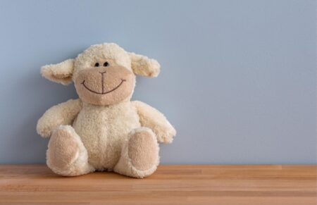 The Joy of Gifting Why Personalized Plush Toys Win Every Time