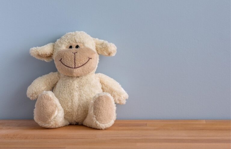 The Joy of Gifting Why Personalized Plush Toys Win Every Time
