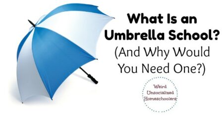 What-Is-an-Umbrella-School