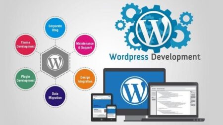 WordPress Development Services by Early Bird Labs Build a High-Performing Website