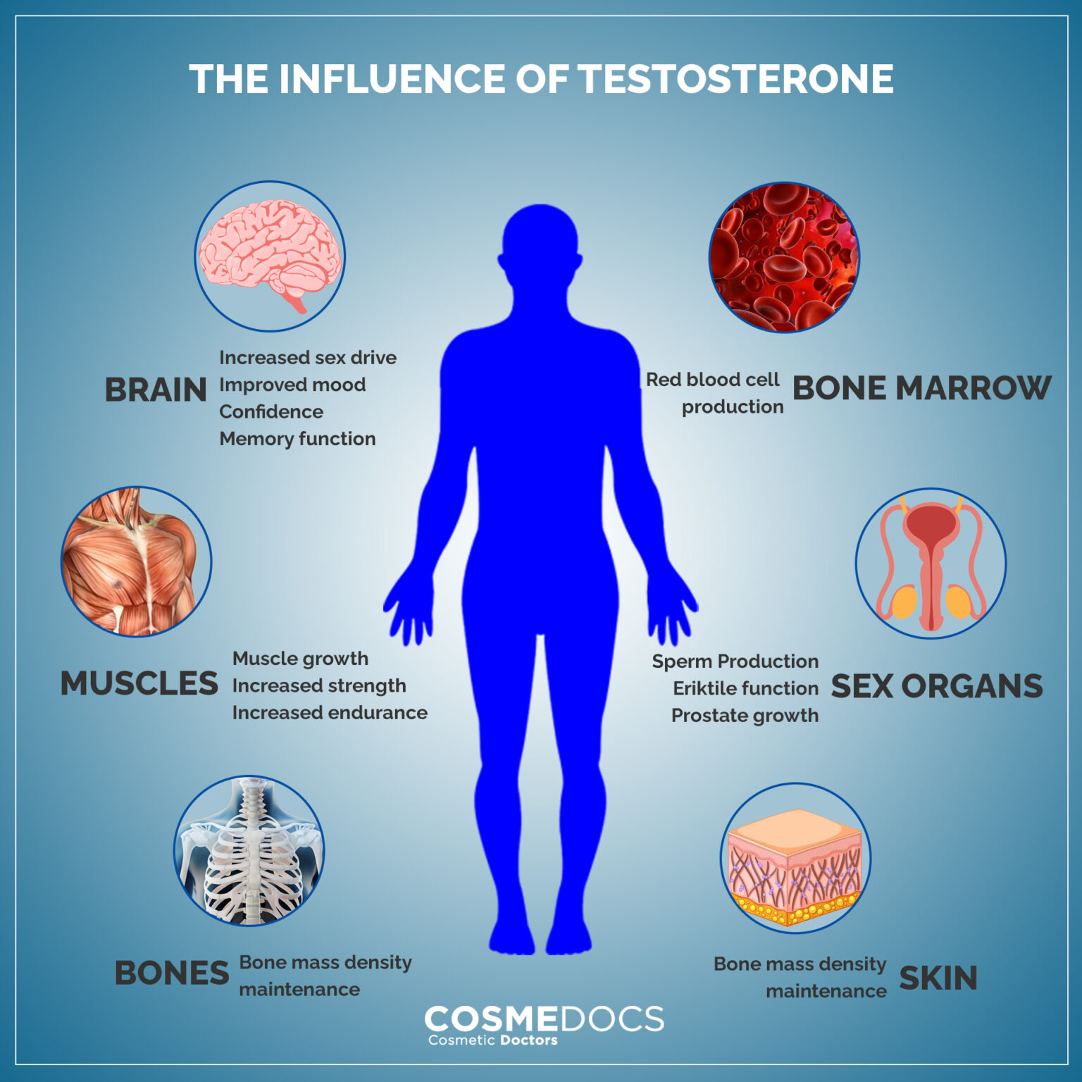 The Science Behind Testosterone Therapy and Its Impact on Men’s Health The Science Behind Testosterone Therapy and Its Impact on Men's Health