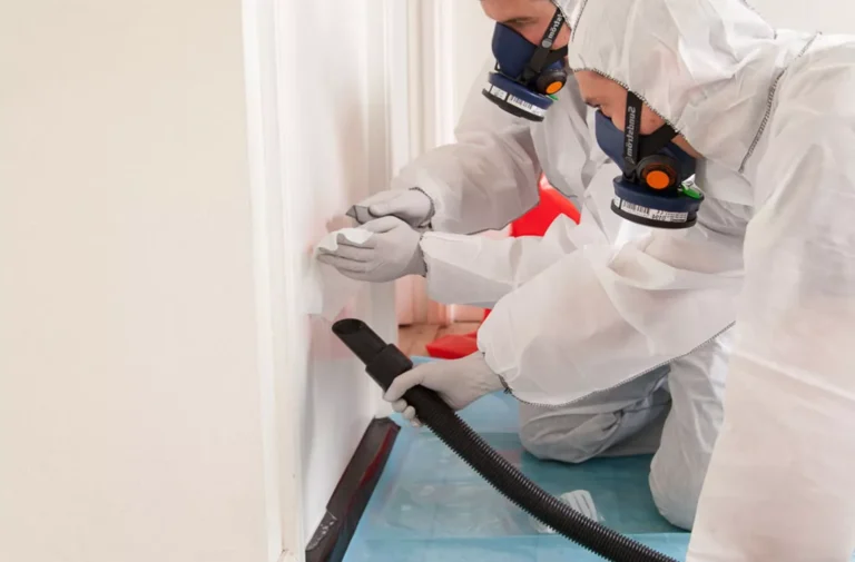 Professional Asbestos Testing Services Protecting Your Home and Health