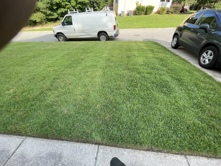 Transform Your Yard Without Breaking the Bank: How to Request a Free Lawn Care Quote Today Transform Your Yard Without Breaking the Bank How to Request a Free Lawn Care Quote Today